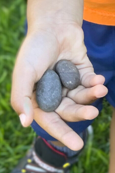 rock collection 